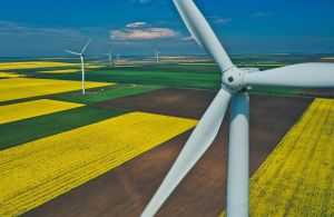 Acker für Windrad verpachten – Windkraftanlage auf Rapsfeld