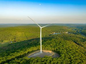 Windenergieanlagen im Wald, um sie herum eine freigerodete Fläche 