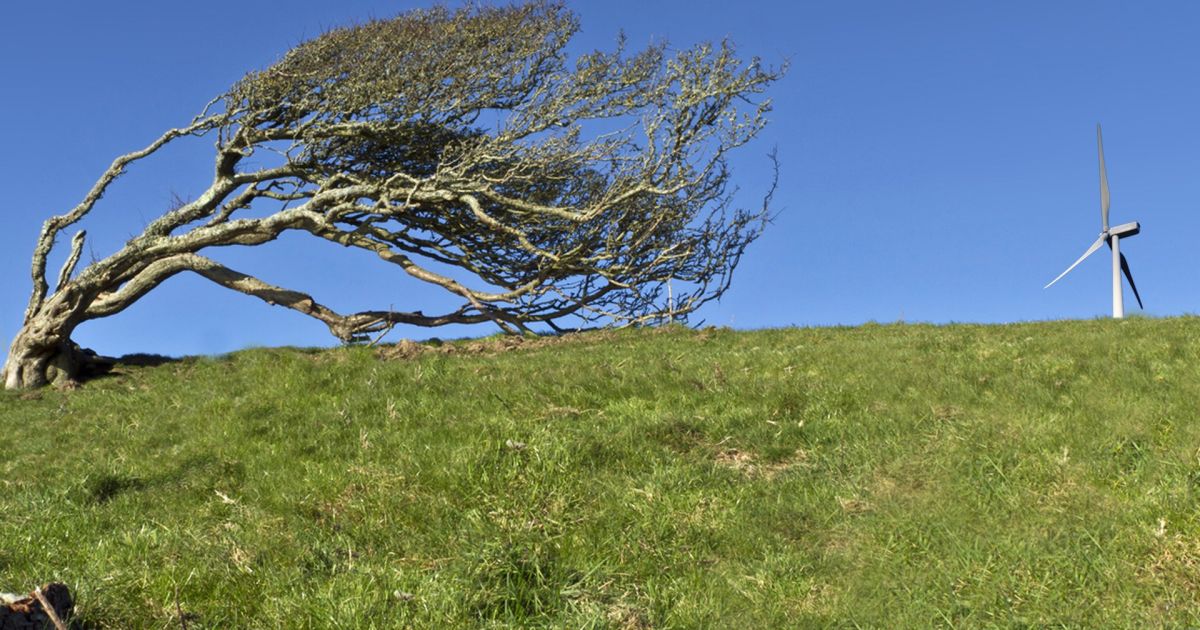 wind-turbine.com